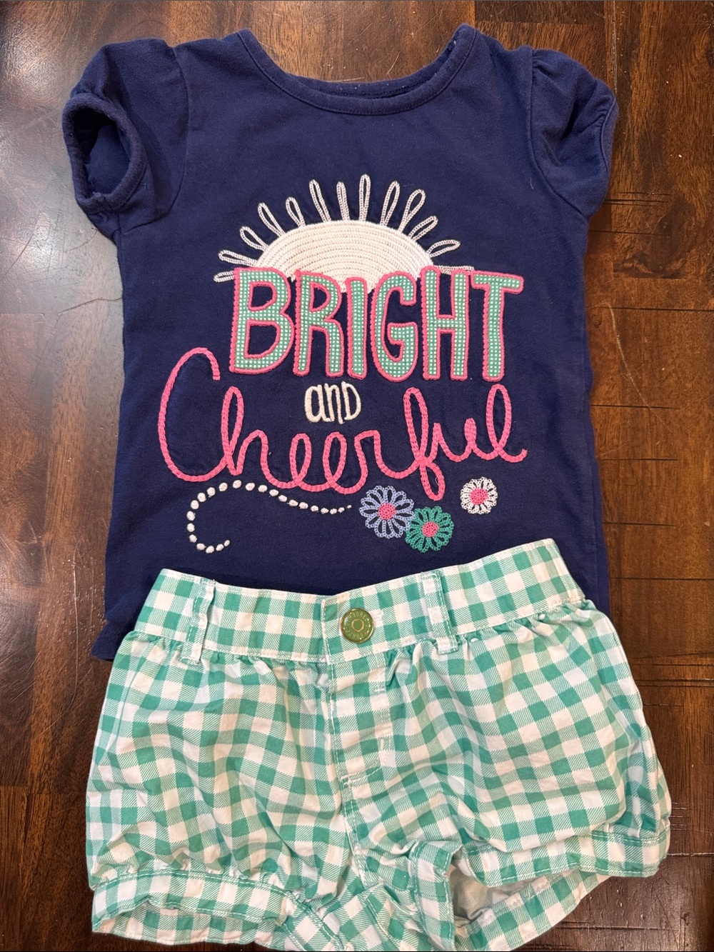 Gymboree Navy Tee with Mint Gingham Shorts